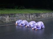 2020年法鼓山臺南分院朝山回顧影片